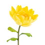 Flor Loto Amarillo Artificial Decoración 55 X 55 X 130 cm