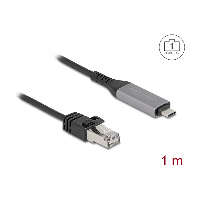 DeLOCK Cable USB Tipo C a RJ45 Gigabit Ethernet Cat6 1 m