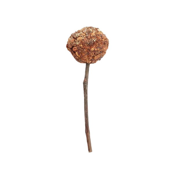 Nayeco Woodchuck Lolly Arándano, Pera y Espino Blanco 25g Nayeco Woodchuck Lolly Arándano, Pera y Espino Blanco 25g
