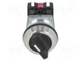 PROMET Interruptor Rotativo NEF30-PSXY Negro 30mm 2 Posiciones