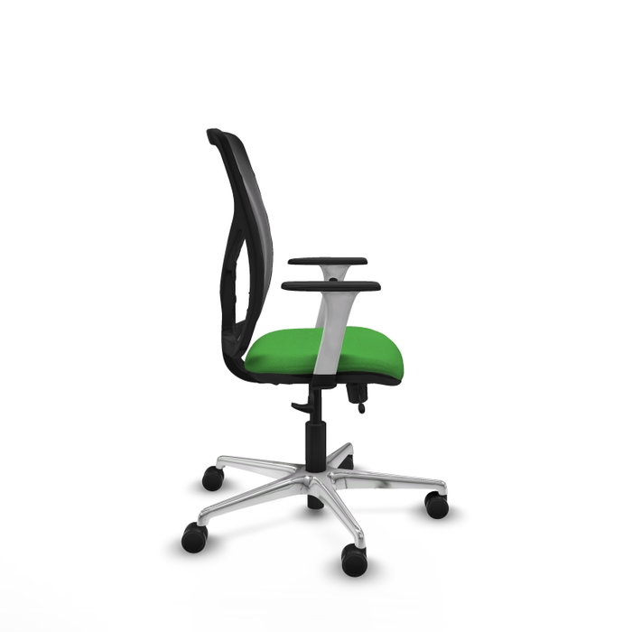 PIQUERAS Y CRESPO Silla de oficina Motilla con mecanismo Sincro/Traslack, Verde y Negro