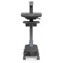 Ergotron Styleview Cart LCD Pivot LiFe Powered Gris