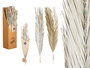 Giftdecor Ramillete Hojas Palmera Surtido Blanco y Natural 20 cm x 100 cm x 4 cm (Set de 20)