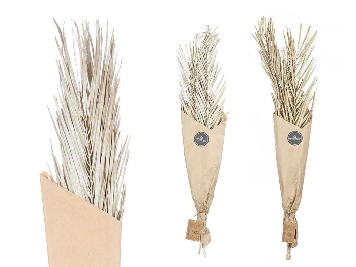 Giftdecor Ramillete Hojas Palmera Surtido Blanco y Natural 20 cm x 100 cm x 4 cm (Set de 20)