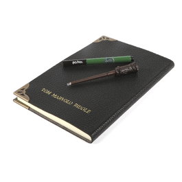 Dickie Harry Potter Tom Riddle's Diary Magic Wand Secret