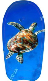 Unice Tabla Surf Animales Marinos 94 cm - Modelos Surtidos