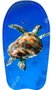 Unice Tabla Surf Animales Marinos 94 cm - Modelos Surtidos