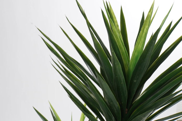 DKD Home Decor Palmera Verde EVA PP 80x40x150 cm