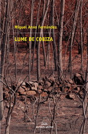 Lume de cobiza, Miguel Anxo Fernández Fernández - GALAXIA