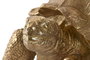 DKD Home Decor Figura de Tortuga en Resina Dorado