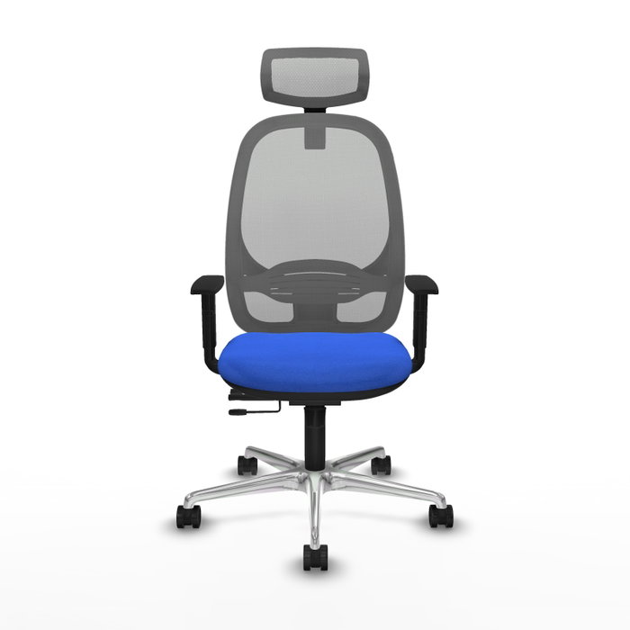 PIQUERAS Y CRESPO Silla de oficina Cilanco con mecanismo Sincro/Traslack, Azul y Gris PIQUERAS Y CRESPO Silla de oficina Cilanco con mecanismo Sincro/Traslack, Azul y Gris