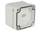 FIBOX EURONORD Carcasa Universal Gris