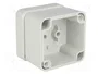 FIBOX EURONORD Carcasa Universal Gris