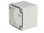 FIBOX EURONORD Carcasa Universal Gris