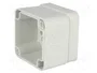 FIBOX EURONORD Carcasa Universal Gris