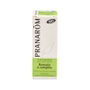 PRANAROM Aceite Esencial de Romero Alcanfor BIO 10 ml