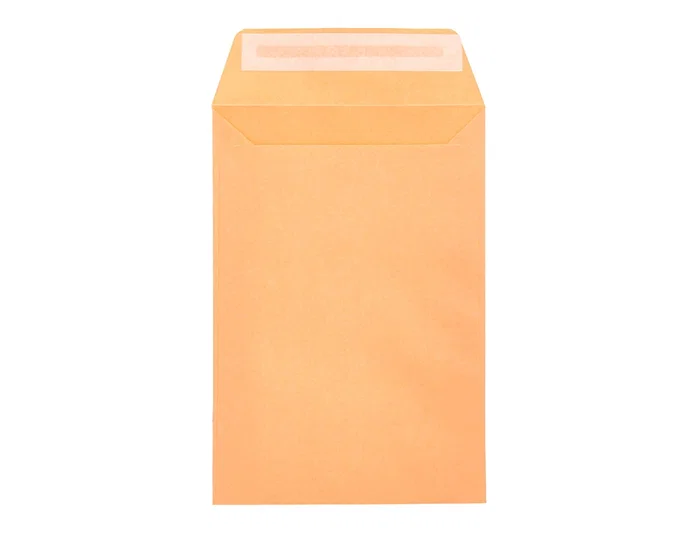 Liderpapel Sobre Bolsa Salarios 100 x 150 mm Cierre Engomado Liderpapel Sobre Bolsa Salarios 100 x 150 mm Cierre Engomado