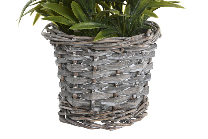 DKD Home Decor Set de 3 Plantas de Lavanda en Base de Madera (Surtido de Colores)