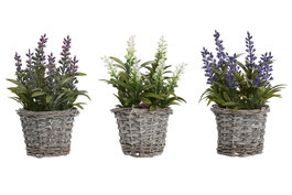 DKD Home Decor Set de 3 Plantas de Lavanda en Base de Madera (Surtido de Colores)