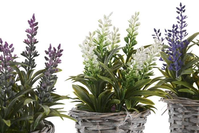 DKD Home Decor Set de 3 Plantas de Lavanda en Base de Madera (Surtido de Colores)