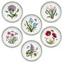 Portmeirion Plato de Postre Botanic Garden Diámetro 20 cm (6 Unidades)