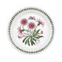 Portmeirion Plato de Postre Botanic Garden Diámetro 20 cm (6 Unidades)