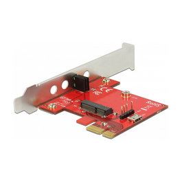 DeLOCK 89889 Adaptador PCIe x1 a M.2 Key E Interno, Perfil Bajo, con Conectores USB 2.0 Micro-B y Pin Header