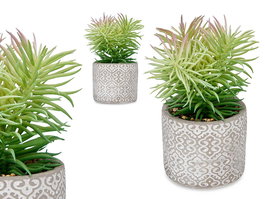 Ibergarden Planta Hoja Fina Maceta Gris 12x22x12 cm (Set de 8)