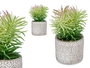 Ibergarden Planta Hoja Fina Maceta Gris 12x22x12 cm (Set de 8)