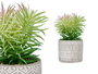 Ibergarden Planta Hoja Fina Maceta Gris 12x22x12 cm (Set de 8)
