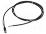 MURRELEKTRONIK Cable para sensores M8 hembra recto 1,5m