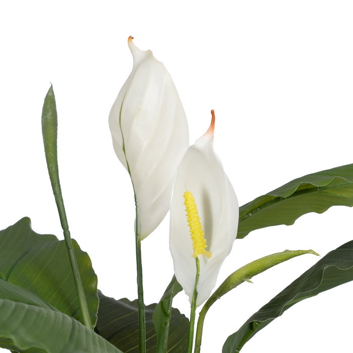 Planta Verde-Blanco Polietileno Jardín 130 cm