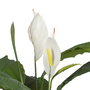 Planta Verde-Blanco Polietileno Jardín 130 cm