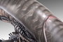 Alien Romulus Busto 1/1 Xenomorph 53 cm