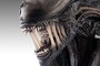 Alien Romulus Busto 1/1 Xenomorph 53 cm