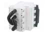 SCHNEIDER ELECTRIC Interruptor Magnetotérmico C60PV-DC 25A 2 Polos