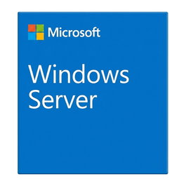 Microsoft WINSVR CAL 2025 10User