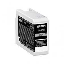 Epson T46S9 UltraChrome Pro 10 Gris claro