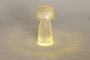 DKD Home Decor Decoracion Luminosa Basicos Seta Led Transparente 8 x 12 x 8 cm (12 Unidades)