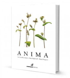 Anima, Fina Puigdevall - MONTAGUD EDITORES