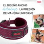 Collar para Perro Company of Animals