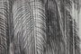 DKD Home Decor Cuadro Algodón Abeto 80x3x120 Palmeras (Pack de 2)