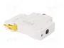 SCHNEIDER ELECTRIC ACTI9 MCB K60N 32A 1 Polo 6kA