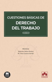 COLEX, Cuestiones básicas de Derecho del trabajo - BIBLIOTECA JURIDICA BOLSILLO