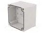 FIBOX MNX Carcasa Universal Gris 100x100x75mm