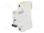 SCHNEIDER ELECTRIC Interruptor magnetotérmico iC60N 4A 1P B