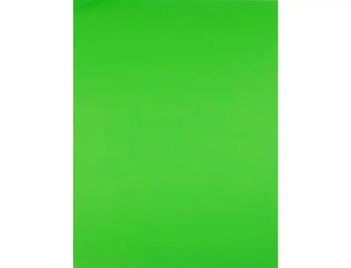Liderpapel Cartulina Verde hierba 50x65 cm 240g/m2 (25 hojas)