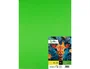 Liderpapel Cartulina Verde hierba 50x65 cm 240g/m2 (25 hojas)