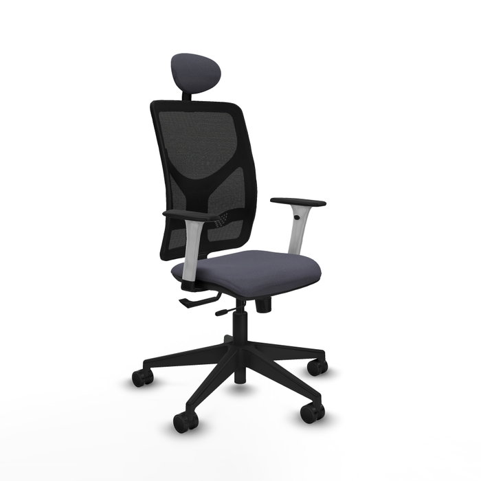 PIQUERAS Y CRESPO Silla de oficina Motilla con mecanismo Sincro/Traslack, Gris oscuro y Negro PIQUERAS Y CRESPO Silla de oficina Motilla con mecanismo Sincro/Traslack, Gris oscuro y Negro
