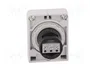 EATON ELECTRIC RMQ-Titan Potenciómetro 1000kΩ 30mm
